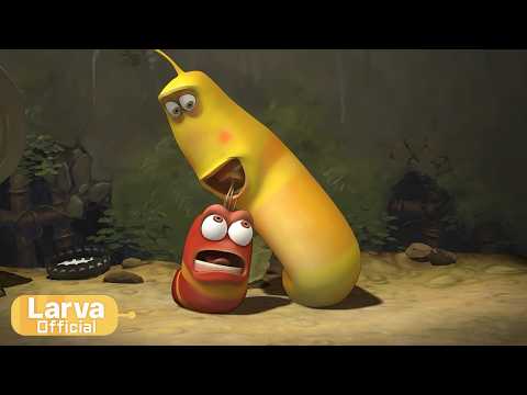 Mushroom | <strong>Animation</strong> Compilation | <strong>Larva</strong> Tuba | Official