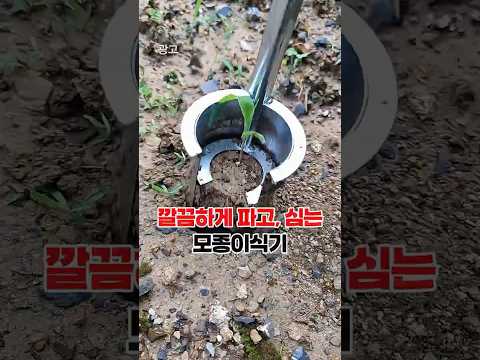 모종심기 한방에하는 텃밭 <strong>정원</strong> 모종이식기