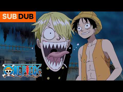 Do Skeletons Poop? | One Piece