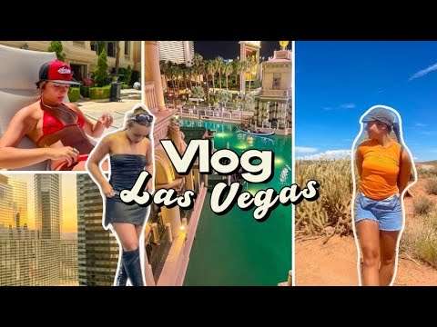 Next stop, Las Vegas | Gigischolbi
