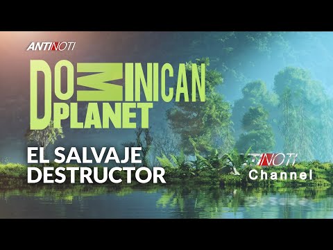 El Salvaje Destructor [Dominican Planet] | Antinoti