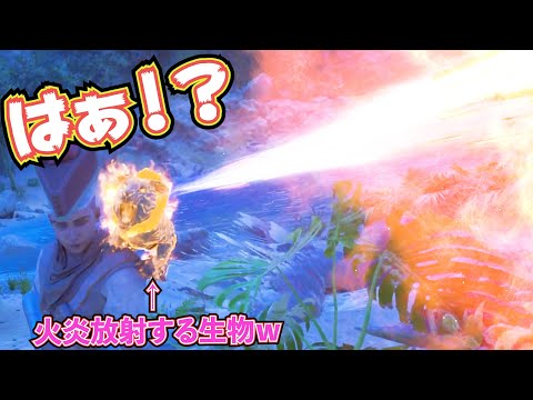 【ヤバ過ぎｗ】超上位な肩乗せ生物！パイロメインの性能がぶっ飛んでる件！！【ASA/ARK】