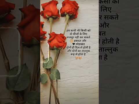 ham kabhi bhi kisiko do cheezo ke liye majbur nahi kar sakte..😣 #islamicvideo #motivational #quotes