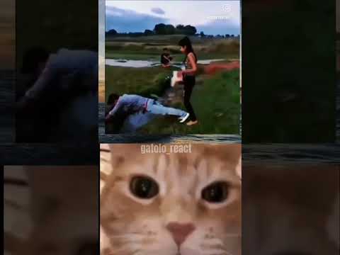 mi tutor haciendo observaciones de mi tesis #humor #videoviral #tesisviral