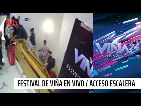 Festival Viña En Vivo / ACCESO ESCALERA | #Viña2024