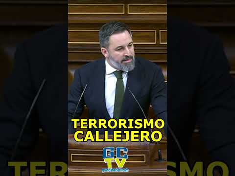 IMPUNIDAD DEL TERRORISMO CALLEJERO Santiago Abascal (VOX) sobre Ley de Amnistía #shorts