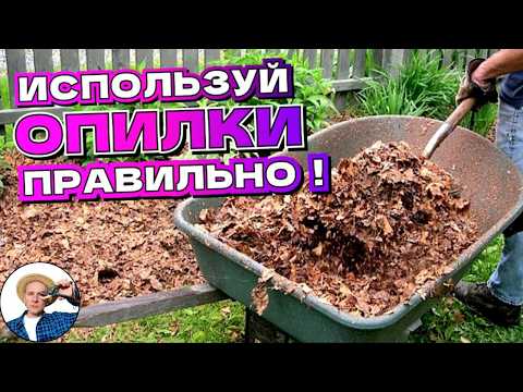 КАК НЕ НАВРЕДИТЬ ОПИЛКАМИ В ОГОРОДЕ? Польза и Вред