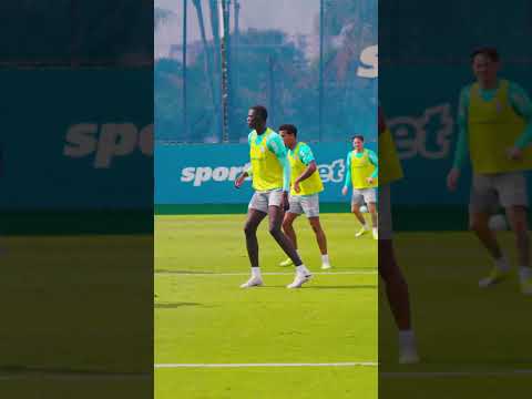 image para ilustrar o artigo