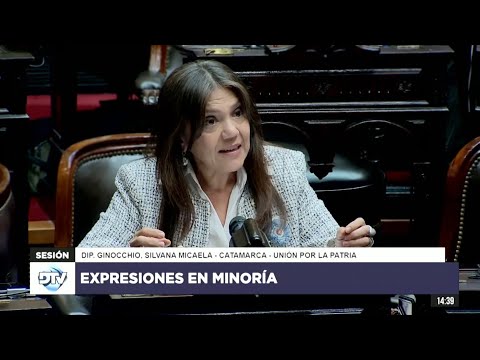 Diputada Ginocchio, Silvana Micaela - Expresiones en minoría 24-04-2024