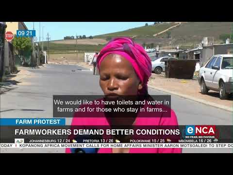 Farmworkers demand better conditions