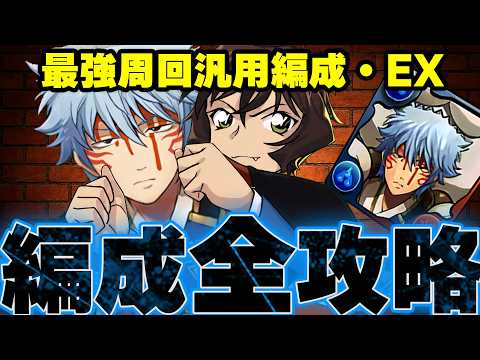 【超完全攻略】史上最強周回：銀時＆世良、編成方法・代用・EX【銀魂コナン　パズドラ】
