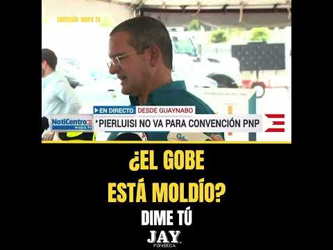 ¿El gobe está moldío?