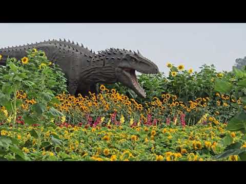 Flower field with a dinosaur 🦖 
