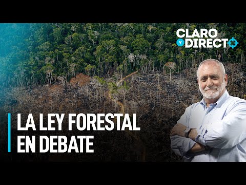 La Ley Forestal en debate | Claro y Directo con Álvarez Rodrich