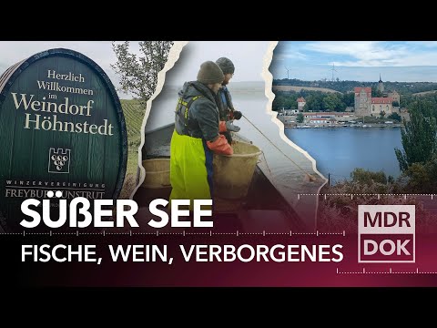 Fische, Wein und verborgene Schätze - Der Süße See in Sachsen-Anhalt | MDR DOK