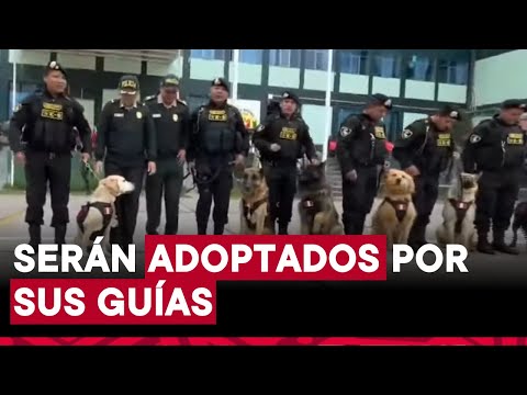 Cusco: perritos policías pasaron al retiro en emotiva ceremonia