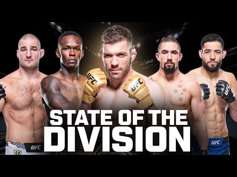 State Of The Middleweight Division | August 2024