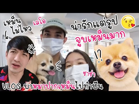 VLOGหมาปากเหม็นมาก!!ชาช่าเล