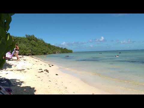 « C'est un coup dur » : la Guadeloupe se reconfine en pleine saison touristique