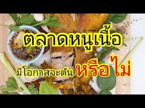 ตลาดหนูเนื้อมีโอกาสตันหรือไ ตลาดหนูเนื้อมีโอกาสตันหรือไ