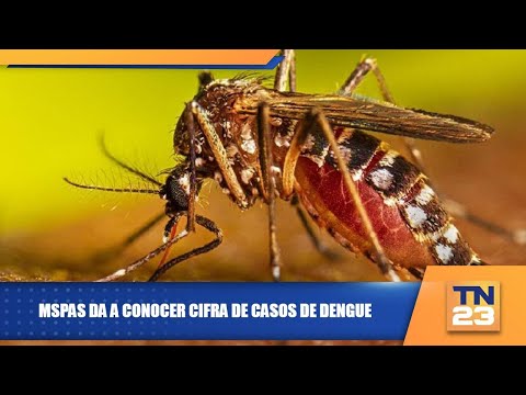 MSPAS da a conocer cifra de casos de dengue