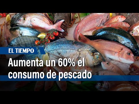 Aumenta el consumo de pescado en Semana Mayor | El Tiempo