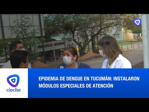 EPIDEMIA DE DENGUE EN TUCUMÁN: INSTALARON MÓDULOS ESPECIALES DE ATENCIÓN