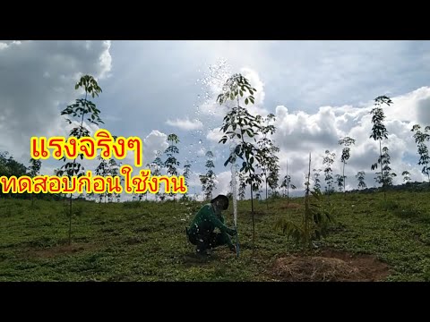 ป้องกันหัวสปริงเกอร์ตันต้องทำ