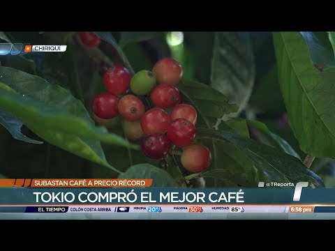Subastan café panameño a precio récord