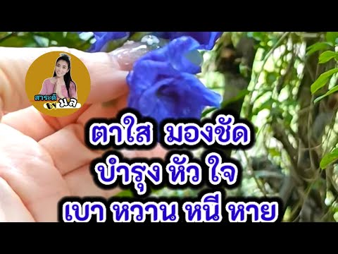 แค่3-5ดอกตามองชัดหัวใจดีเบา