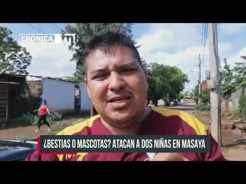 ¿Bestias o mascotas Perros Pitbull atacan furiosos a dos niñas en Masaya - Nicaragua