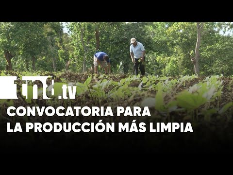 Convocan en Nicaragua al Premio de la Producción Más Limpia