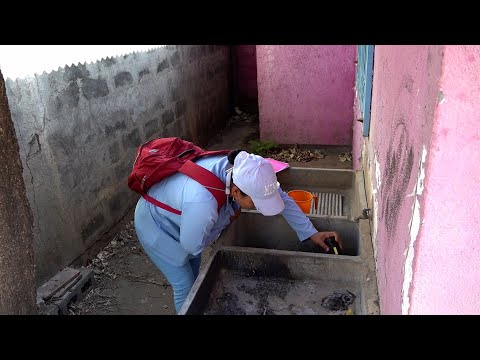 Minsa previene el dengue abatizando viviendas en el barrio Jonathan González