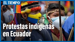 Indi?genas de Ecuador piden recuento de votos