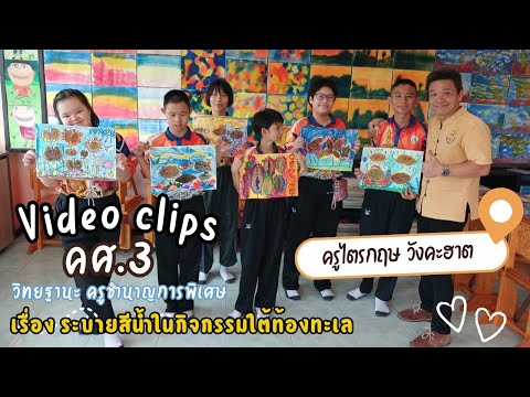 VDOการสอนคศ.3เรื่องระบายสี