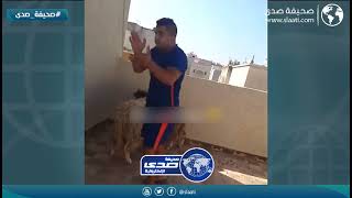 راحت الذبيحة عليهم