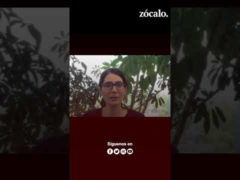 Sería un golpe de estado, dice Hija de Olga Sánchez Cordero sobre reforma al Poder Judicial