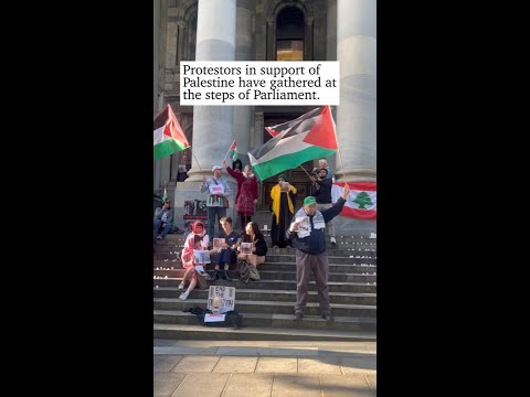 Pro-Palestine protestors gather on steps of parliament