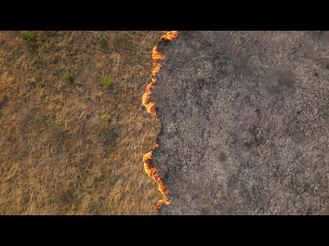 Habitantes del Pantanal brasileño hacen frente a incendios históricos | AFP