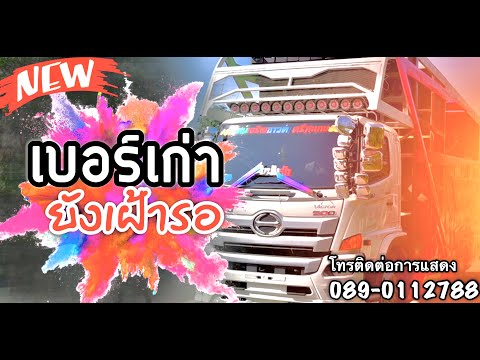 มาแรงในtiktok-เบอร์เก่ายังเฝ้า มาแรงในtiktok-เบอร์เก่ายังเฝ้า