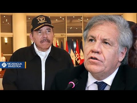 #LoÚltimo?? | Noticias de Nicaragua miércoles 08 de abril de 2020