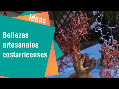 Bellezas artesanales de emprendedores costarricenses | Ideas