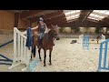 Springpferd Equitation/ amateur very brave horse