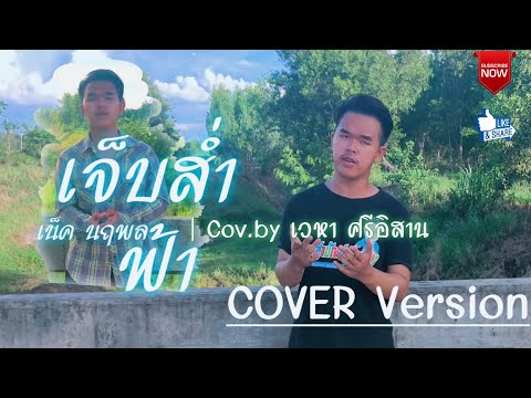 เจ็บส่ำฟ้า:เน็คนฤพล{COVERB