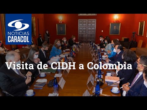 Visita de CIDH a Colombia: tuvo la primera reunión con la vicepresidenta Marta Lucía Ramírez