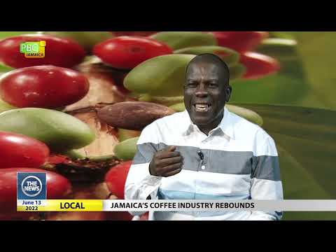 Jamaica’s coffee industry rebounds #TheNews