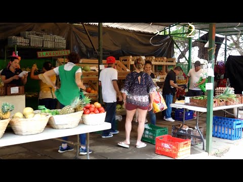 Una feria dedica a la madre nicaragüenses están preparando pequeños emprendedores en Farmers Market