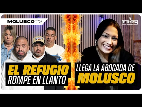 Molu, Ali y Pam lloran en su regreso a radio/La abogada de Molusco aparece a insultar a..