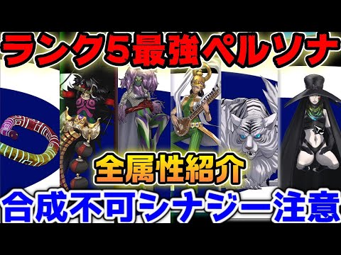 【P5X】ランク5最強ペルソナ全属性紹介！合体メインなのでシナジーLVにも注意！【ペルソナ5：ThePhantomX】