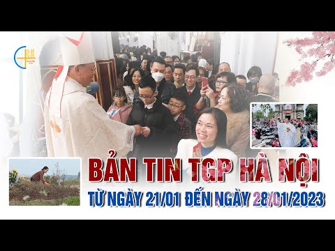 Bản Tin Tổng Hợp TGP Hà Nội (từ ngày 21/01 đến 28/01/2023)